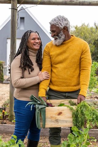 Senior couple harvesting homegrown vegetables and smiling in cozy backyard garden