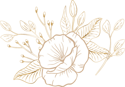 elegant golden floral line art on transparent background - Download Free Stock Videos Pikwizard.com