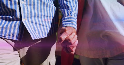 Senior Couple Holding Hands in Sunny Park, Symbol of Lifelong Companionship