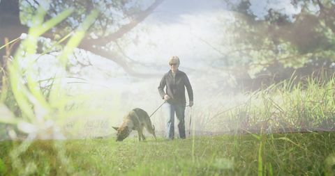 Senior Woman Enjoying Nature Walk with Dog in Sunlit Park - Download Free Stock Images Pikwizard.com