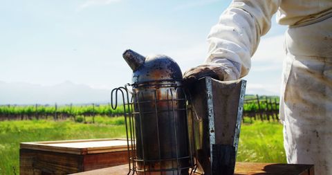 Beekeeper handling smoker tool at apiary on sunny day