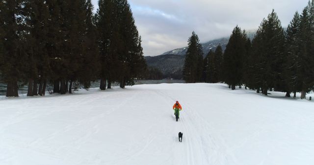 Person Walking Dog in Snowy Forest Landscape - Download Free Stock Images Pikwizard.com