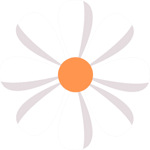Elegant daisy with white petals and orange center on transparent background