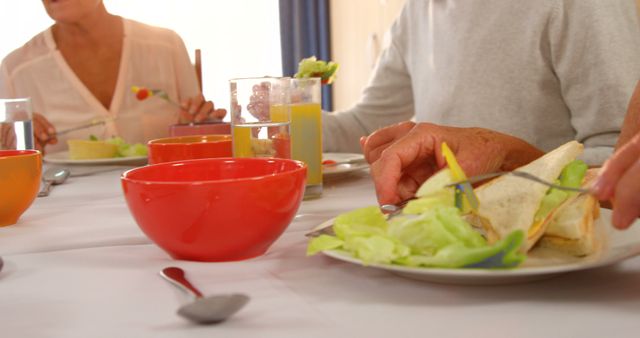 Family Enjoying Healthy Meal with Veggie Wraps and Fresh Juice - Download Free Stock Images Pikwizard.com