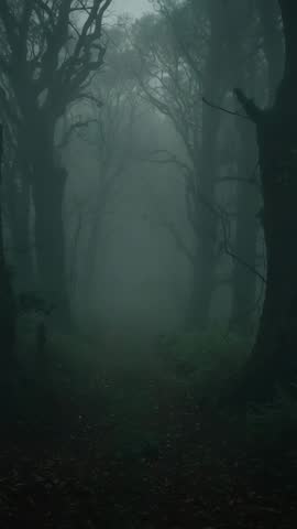 Wind-Sweeping Fog Moving Along Narrow Trail Into Misty Forest | Vertical Video