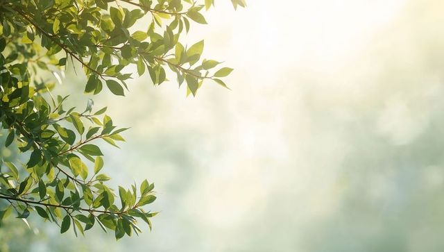 Backlit green leaves and delicate branches with soft sunbeams and bokeh for copy space