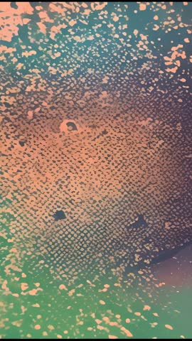 Vertical video showing foam-covered windshield in car cabin with peach teal gradient