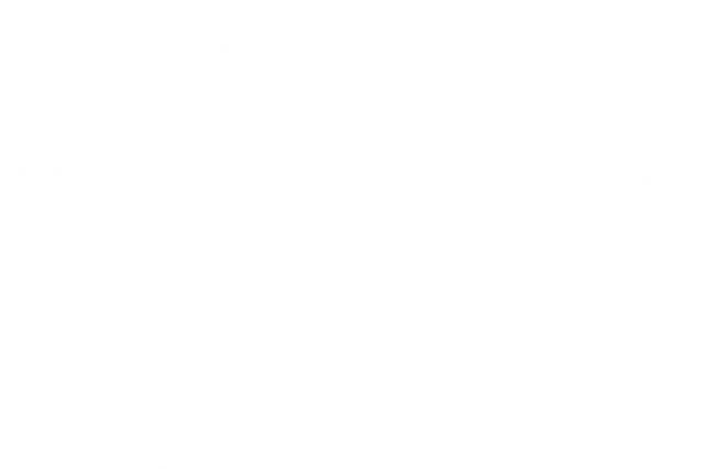 Transparent Silhouette of Athlete Lifting Barbell Outdoors - Download Free Stock Videos Pikwizard.com