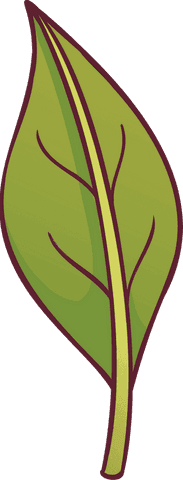 Vector Leaf Illustration on Transparent Surroundings with Maroon Edge - Download Free Stock Videos Pikwizard.com