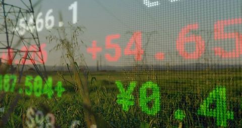 Stock Market Overlay on Rural Landscape with Power Pylon