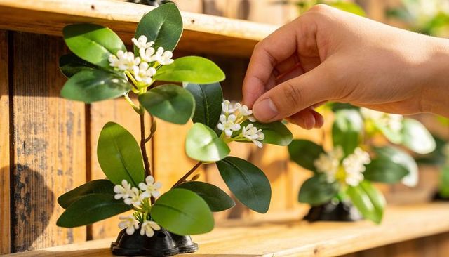 Hand adjusting small flowering plant on wooden shelf sunlit closeup for home decor
