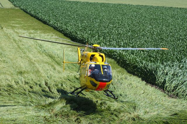 Helicopter landing in a crop field during a rescue operation, with blades stirring the crops below. Suitable for use in depicting emergency services, aviation operations in rural areas, or agricultural settings. Ideal for websites, magazines, and educational materials related to emergency response, aviation, and rural safety protocols.