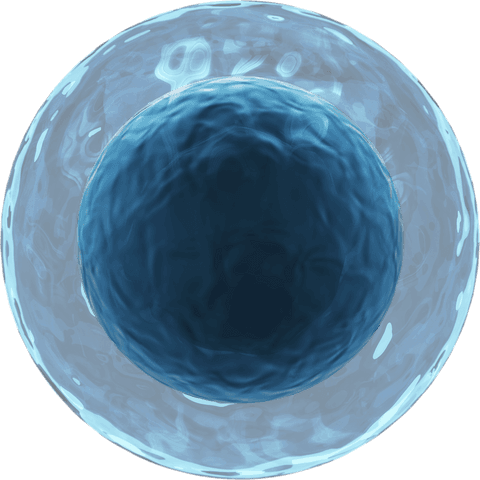 transparent 3d lymphocyte cell with blue membrane rendered - Download Free Stock Videos Pikwizard.com