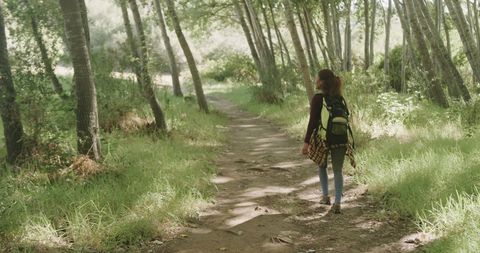Hiker Walking Along Forest Trail in Sunlit Woods - Download Free Stock Images Pikwizard.com