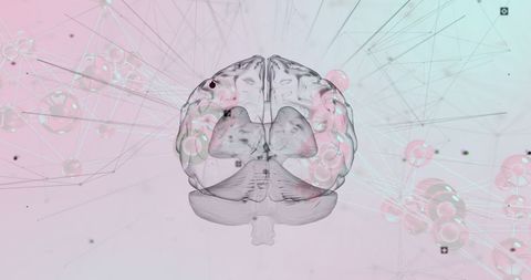 Digital Brain with Network Connections on Blue Background - Download Free Stock Images Pikwizard.com