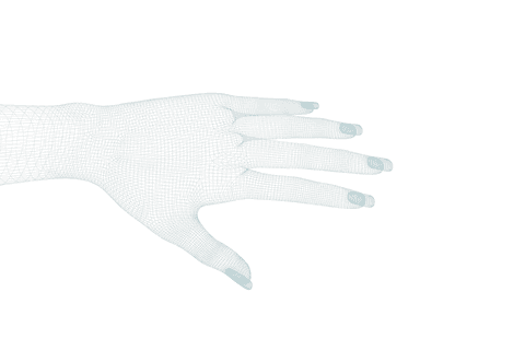 3d transparent wireframe hand in detailed pose - Download Free Stock Videos Pikwizard.com