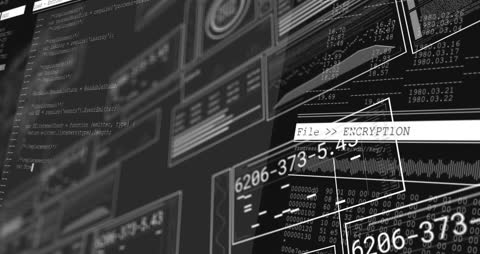 Digital Encryption Control Interface with Data Processing Elements