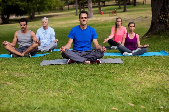 Group of diverse individuals practicing yoga on mats in a park. Ideal for promoting outdoor fitness, wellness retreats, group activities, and healthy lifestyle campaigns.