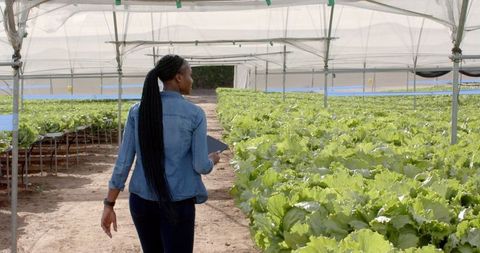 Woman walks in greenhouse inspecting leafy greens