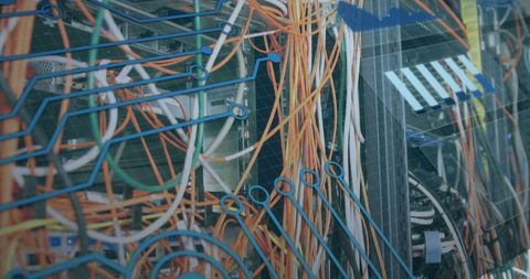 Colorful Network Cables with Digital Data Interface - Download Free Stock Images Pikwizard.com
