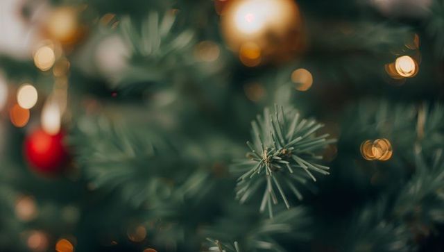 Evergreen branch close-up with warm bokeh lights and red gold baubles holiday festive macro