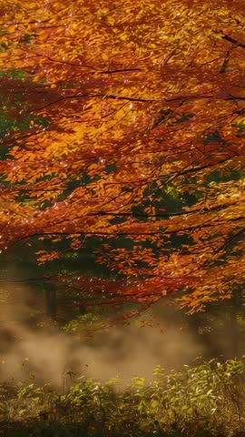 Swaying Autumn Canopy over Misty Pond Edge — Falling Leaves Drifting, Mist Rising (Vertical 4K)