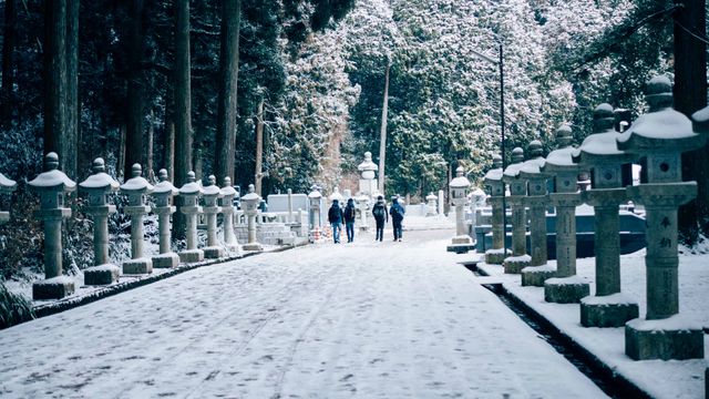 Men and women are walking on a snow-covered path lined with traditional stone lanterns in a forest during winter. Lush green trees and thick snow create a serene atmosphere. Perfect for use in travel guides, nature blogs, or any content celebrating winter beauty and tranquility in natural settings.