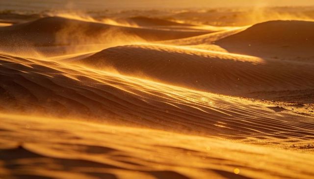 Golden desert dunes glowing at sunset with windblown sand ripples