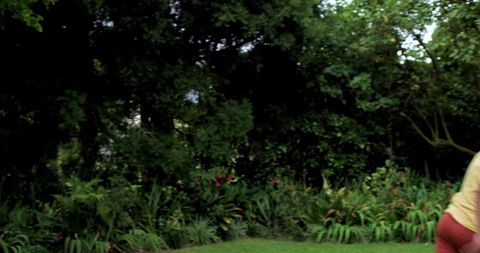 African american teen standing on lush garden lawn with vibrant red blooms and copy space