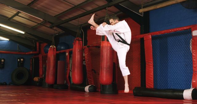 Martial artist demonstrating high kick technique in a red-matted gym. Ideal for use in sports training, fitness promotions, martial arts schools, or motivational materials illustrating dedication and skill.