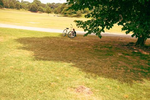 Solitary bicycle on sunlit park lawn