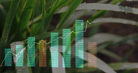 Translucent financial chart overlaying dew-covered green leaves showing growth trend