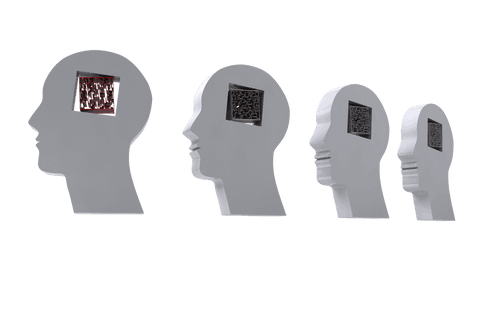 Transparent digital labyrinth heads illustration symbolizing knowledge