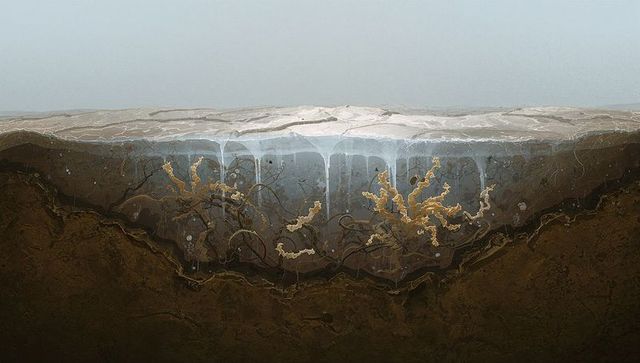Permafrost cross-section revealing dripping icicles and golden filaments