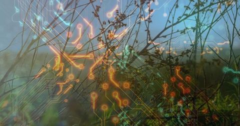 Nature and technology fusion with neon circuit overlay