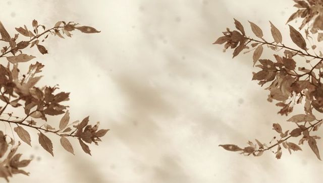 Sepia branches framing open sky with film grain and beige tones for minimalist background