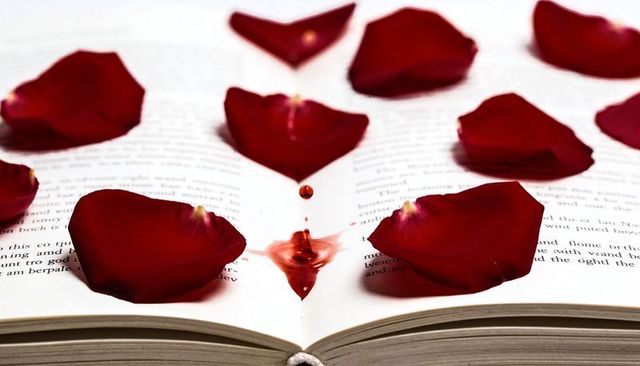 Red Rose Petals Scattering on Open Book with Droplet Splash Forming Heart-Like Stain