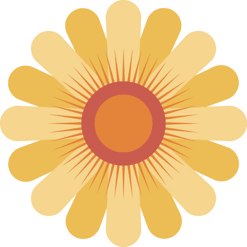 Abstract Solar Flower in Flat Art on Transparent Canvas