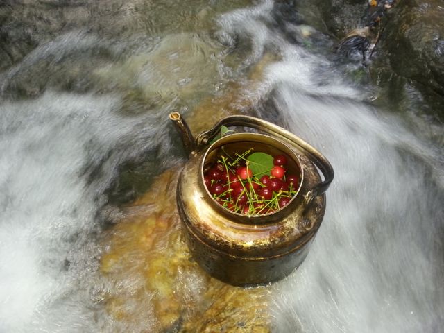 Antique kettle filled with cherries in flowing stream - Download Free Stock Photos Pikwizard.com