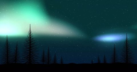 Enchanted Winter Forest with Northern Lights in Winter Wonderland