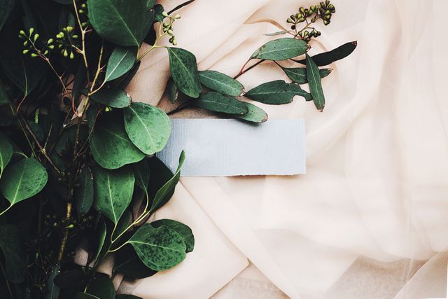 Green leafy branches lie on beige fabric with a blank blue card in the center. It is ideal for use in invitations, greeting cards, or nature-themed design projects.