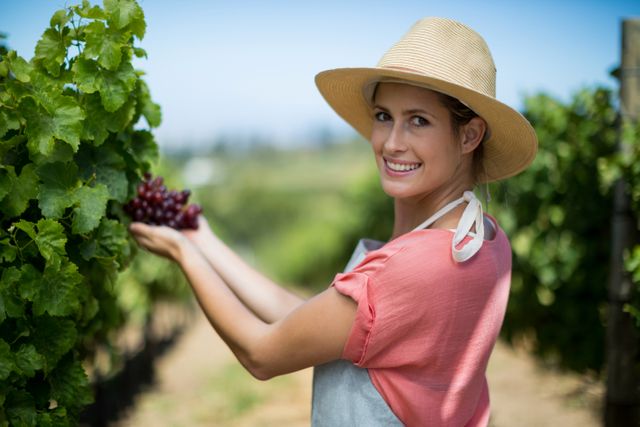 Smiling female farmer holding a bunch of red grapes in a vineyard. She is wearing a straw hat and an apron, standing among lush green grapevines. This image can be used for agricultural promotions, organic farming advertisements, rural lifestyle blogs, and fresh produce marketing.