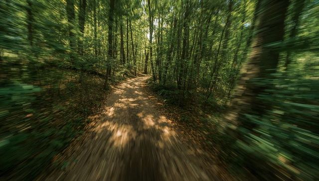 Rushing woodland trail through sunlit canopy with motion blur and winding path dynamic