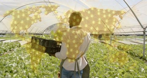 Agribusiness Innovation: Farmer in Greenhouse with Network Overlay