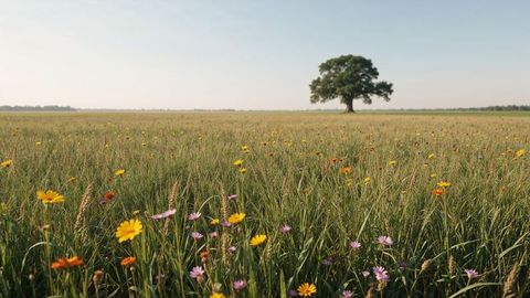 Solitary tree in vibrant wildflower meadow nebraska landscape