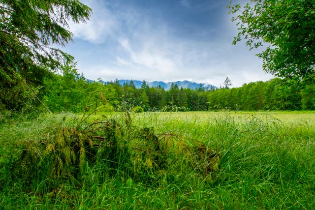 Serene Meadows with Lush Greenery and Distant Mountains - Download Free Stock Photos Pikwizard.com