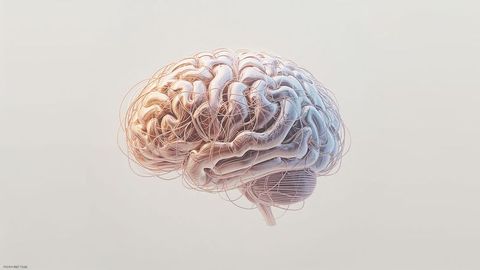Futuristic 3d rendering of human brain with neural network