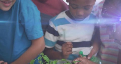 Children Engaging in Plant Education with Magical Light Trails