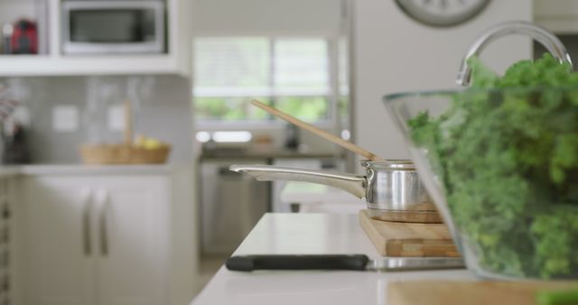 Modern Kitchen with Fresh Kale Salad on Countertop - Download Free Stock Images Pikwizard.com