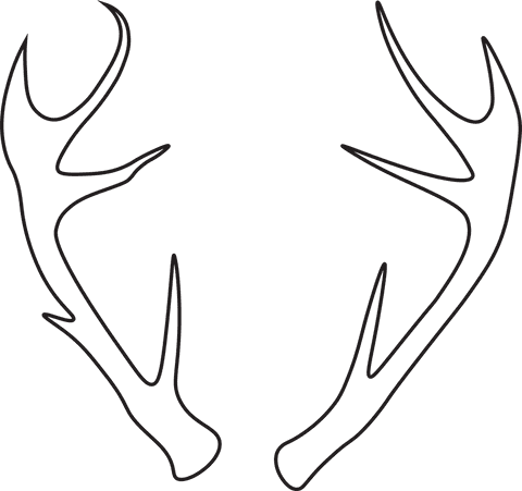 Stylized Deer Antlers on Transparent Background - Download Free Stock Videos Pikwizard.com